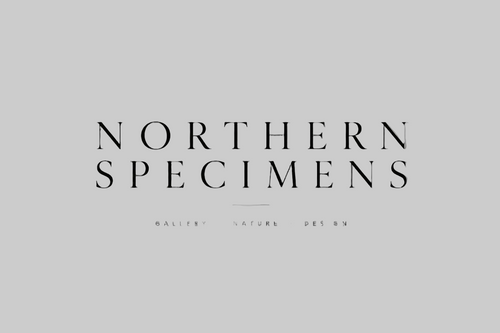 Northern Specimens – premium mineral specimens, crystals and natural home décor